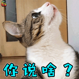 202409031042385956.Gif